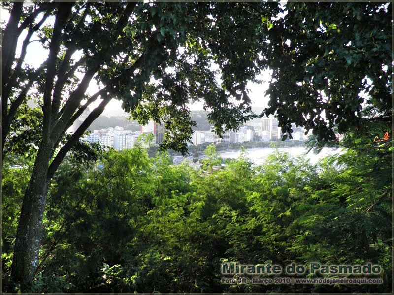 Os prédios e a praia de Botafogo são vistos do morro do pasmado, em foto tirada em meio à densa vegetação