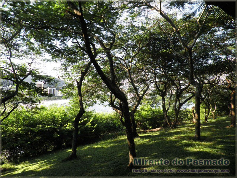 Na foto, em primeiro plano árvores sobre um tapete verde de grama e ao fundo a orla de Botafogo