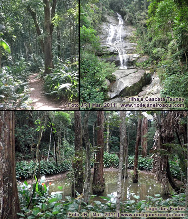 Floresta da Tijuca - Trilha, cascata e lago