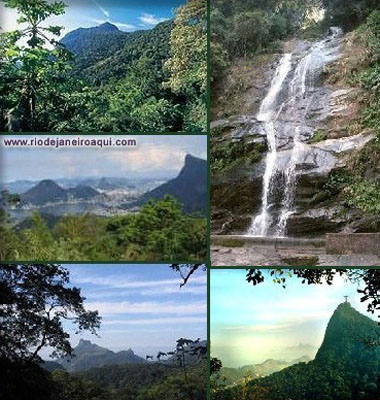 Floresta da Tijuca - Vistas das Matas, Morros e Cascata