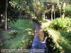 Cena do Jardim Botânico | Riacho, gramados e arvores