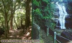 Floresta da Tijuca - Vista de trilha, cascata e lago