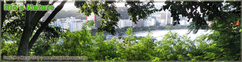 The nature embraces Rio de Janeiro City | A view of Botafogo cove seen from Pasmado Hill