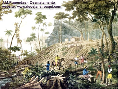 Desmatamento da Mata Atlântica na primeira metade do século 19 - Rugendas