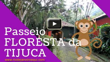Floresta da Tijuca | Vídeo