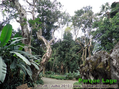 Belos e sinuosos caminhos dos jardins do Parque Lage, cercados por densa vegetao