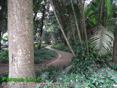 Jardins do Parque Lage | Caminho sinuoso em meio  densa vegetao composta de arvres diversas, plantas e at flores de jardim