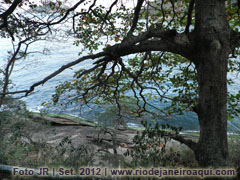 Mar, rochedos e árvore visto da pista Cláudio Coutinho, na Urca
