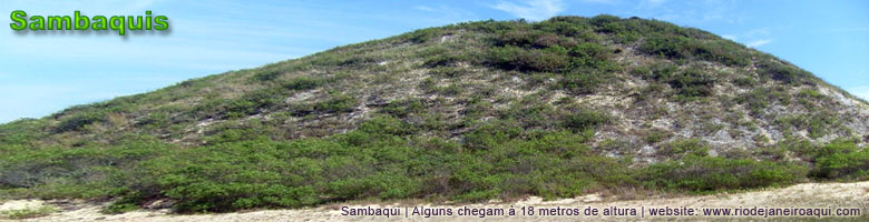Sambaqui ou montanha de conchas construídas por habitantes pré-históricos