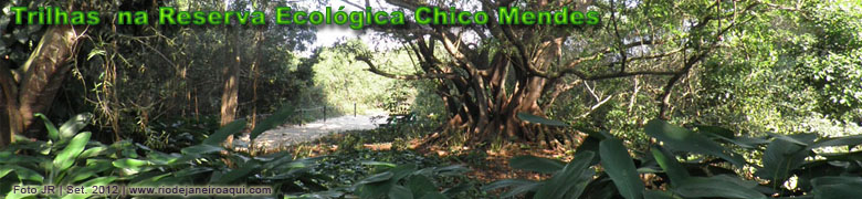 Início de trilha na reserva ecológica Chico Mendes, no Recreio dos Bandeirantes