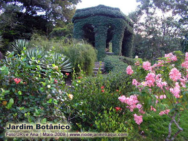 Rio de Janeiro Botanic Garden | Roses and clibimg plants
