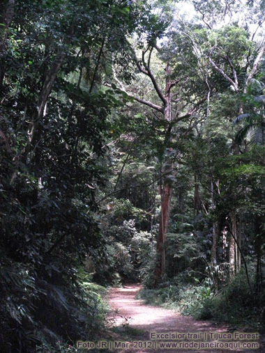 Excelsior trail in Tijuca Forest