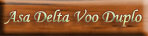 Voo duplo de asa delta