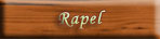 Rapel
