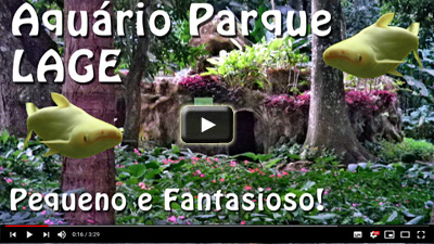 Aquário Parque Lage - Vídeo