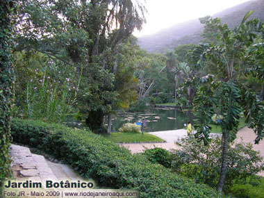 Lago com vitoria régia, e muitas plantas, ao fundo densa mata