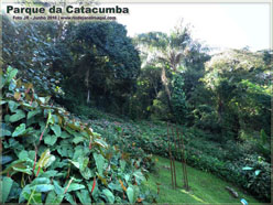 Parque da catacumba | Àrvores, plantas e gramados