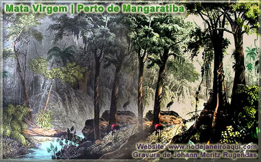 Mata virgem perto de Mangaratiba | Gravura de Rugendas