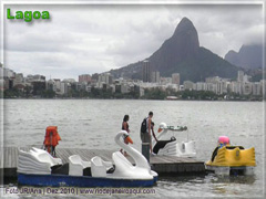 Pedalinho de 6 lugares em forma de cisne