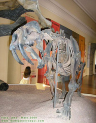 Dinossauro - Museu Nacional na Quinta da Boa Vista