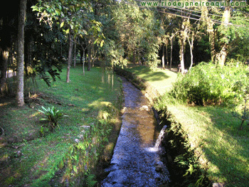 riacho, gramado e bosques no jardim botânica