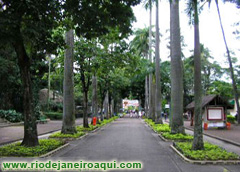 Ala de palmeiras - Zoológico do Rio de Janeiro