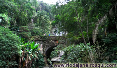 Floresta da Tijuca 240