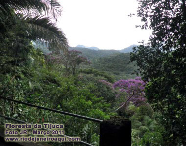 Matas e montanhas vistas de uma parada na Estrada Barão de Escragnolle