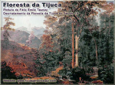 Desmatamento da Floresta da Tijuca na primeira metade do Século 19