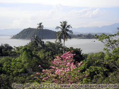 Ilha do Brocoió vista da trilha do Morro do Vigário