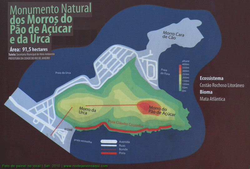 Aves e Árvores: Visita à Pista Claudio Coutinho no Morro da Urca (RJ):  paraíso do Tiê-Sangue e outras aves