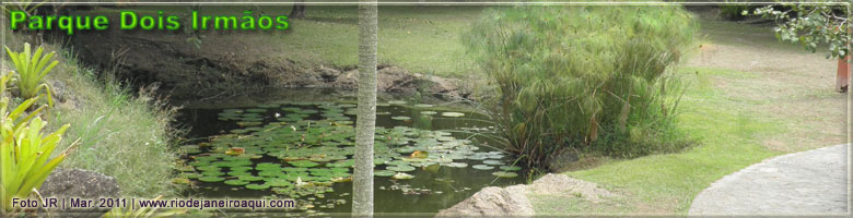 Jardim com lago e plantas aquáticas no Parque Dois Irmãos