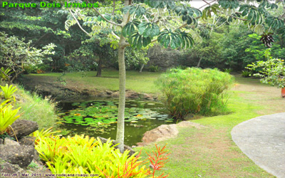 Parque Dois Irmãos | Jardins e lago com plantas aquáticas