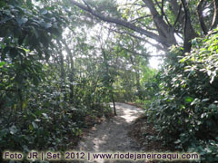 Trilha do Parque ecológico do Recreio dos Bandeirantes