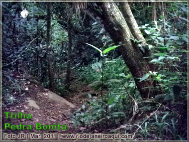 Trilha da Pedra Bonita | Partes com pavimento em pedras do tempo do Império