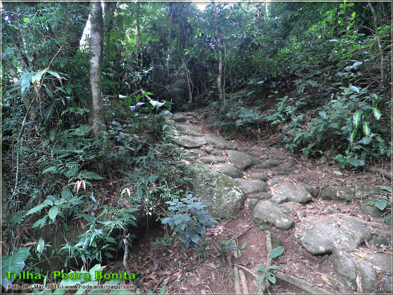 Trilha da Pedra Bonita | Caminho em pedras do tempo colonial ou do Império