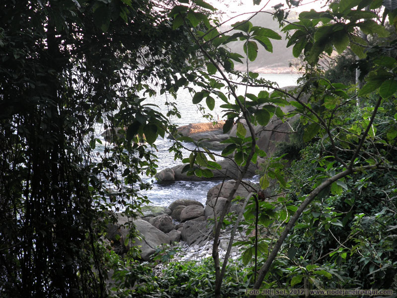 Aves e Árvores: Visita à Pista Claudio Coutinho no Morro da Urca (RJ):  paraíso do Tiê-Sangue e outras aves